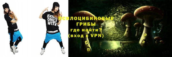 ГАЛЛЮЦИНОГЕННЫЕ ГРИБЫ Арсеньев