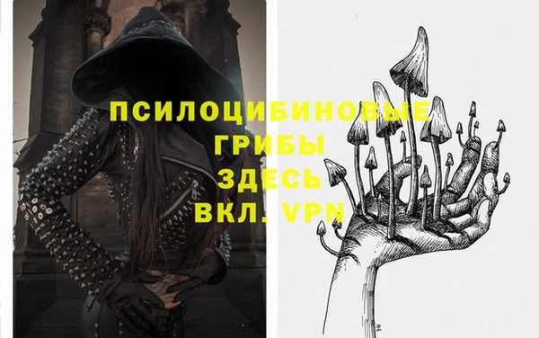 ГАЛЛЮЦИНОГЕННЫЕ ГРИБЫ Арсеньев